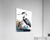 The Blue Heron and the Egret  Acrylic Print