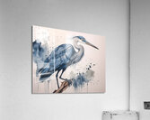 Great Blue Heron Ink Wash  Acrylic Print