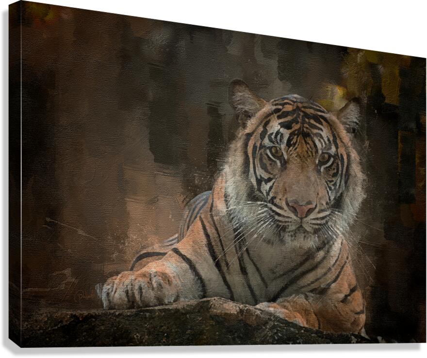 Siberian Tiger Portrait  Canvas Print