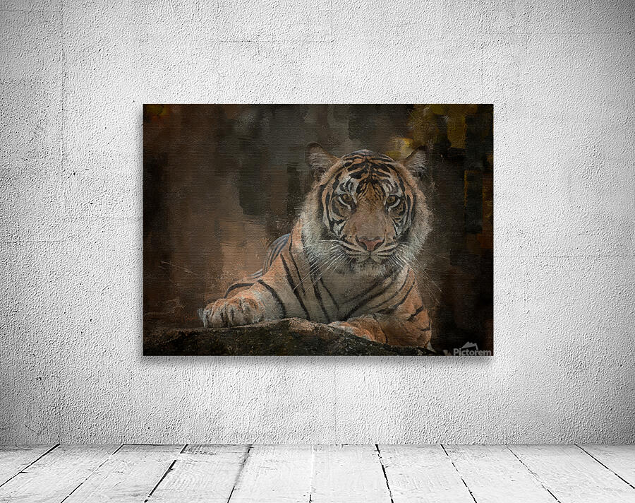 Siberian Tiger Portrait by Pabodie Art