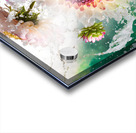 A Splash of Dahlias Acrylic print