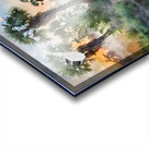 Bayou Sunrise Reflections Acrylic print