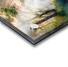 Foggy Sunrise Reflections Acrylic print