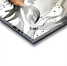 Delightful Deer Acrylic print