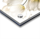 Golden Tulips Acrylic print