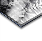 Tropical Transparencies III Acrylic print