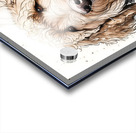 Oscar Boy II Acrylic print