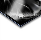 Deep In Thought Acrylic print