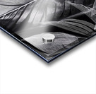 Shades of Night Tropics I Acrylic print