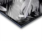 Shades of Night Tropics II Acrylic print