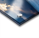 Blue Herons at Dawn Acrylic print