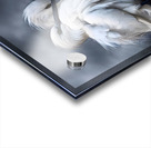 Sleepy Young Egrets Acrylic print