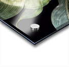 Tropical Leaves on Black Acrylic print