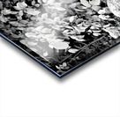 Find The Chippie Acrylic print