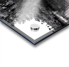 Find The Turtle Acrylic print