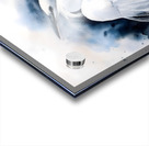 Egret Love Inkwash Acrylic print