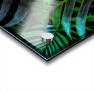 Tropical Leaves At Night Acrylic print