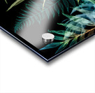 Night Tropics Acrylic print