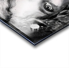 Terri The Talker Acrylic print