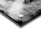 The Poet Acrylic print