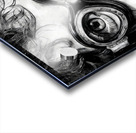 The Swimmer Acrylic print