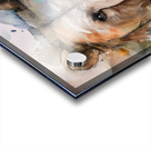 Brown Bear Inkwash Acrylic print