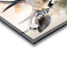 The Eyes of a Deer Inkwash Acrylic print