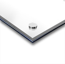 Chrysanthemum in Black & White Acrylic print