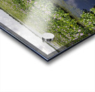 Blue Cypress Lake Acrylic print