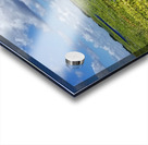 Blue Cypress Lake II Acrylic print