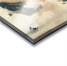 Pug Puppy Portrait Acrylic print