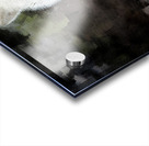 The White Wolf Acrylic print