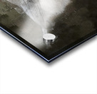 Willow Tit Bird Acrylic print