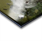 Climbing Koala Acrylic print