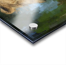 The Kings Mate and Lioness Portrait Acrylic print