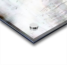 Great Blue Heron In The Shallows Acrylic print