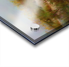 Florida Sand and Sea Oats Acrylic print