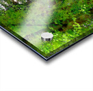 Canopy of Trees Trail Acrylic print