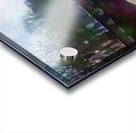 Across The Walking Bridge Acrylic print