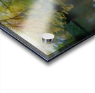 Sunrise Colors Reflecting Across The Lake Acrylic print