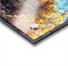 Birch Leaf Reflections Acrylic print