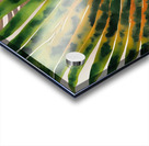 Tropical Palms II Acrylic print