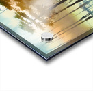 Cypress Trees in the Swamp Acrylic print