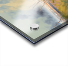 Beach Grasses Watercolor Acrylic print