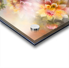 Dahlia Blooms and Buds Acrylic print