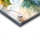 Egret Pose Acrylic print