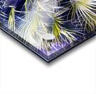 Palms & Berries Acrylic print