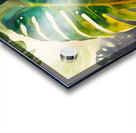 Philodendron Fronds II Acrylic print