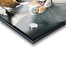 The Classic Cat Stare Acrylic print