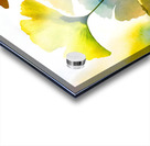 Ginkgo Biloba III Acrylic print